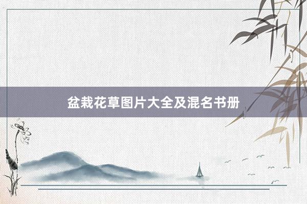 盆栽花草图片大全及混名书册