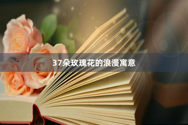37朵玫瑰花的浪漫寓意